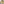         Bivaxduk